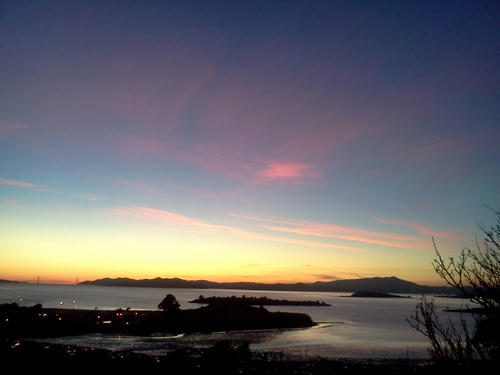 IMG_20120128_174612.jpg