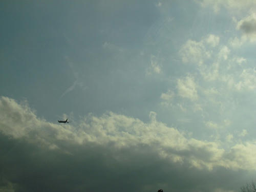 IMG_2617.JPG