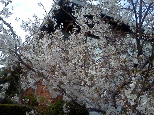 IMG_20120326_174253.jpg