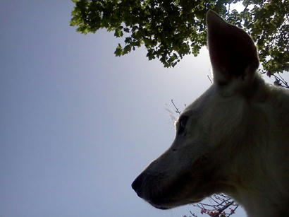 IMG_20120429_142627.jpg