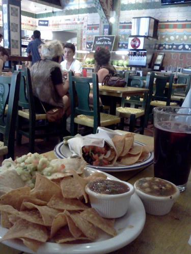 IMG_20120520_140401.jpg