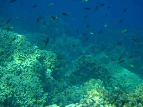 PA260327.JPG