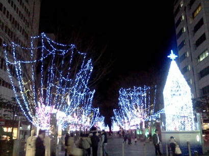 IMG_20121214_213907.jpg