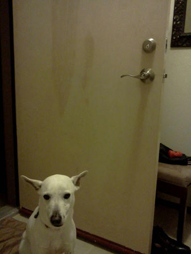 IMG_20130201_183254.jpg