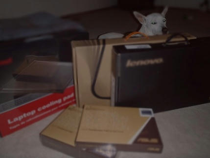 P2060540.2.JPG