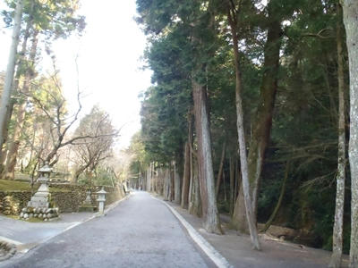 P2130547.JPG