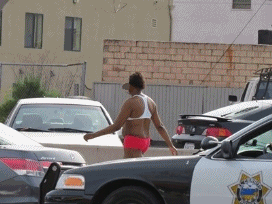 anigif.gif