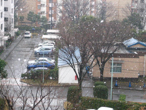 雪
