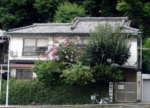堀越接骨院