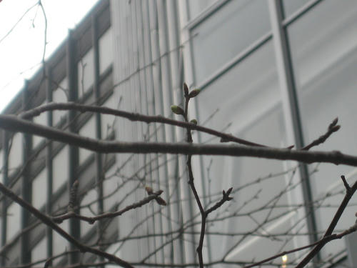 FI2623130_1E.JPG