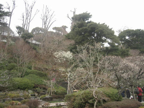 長谷寺境内