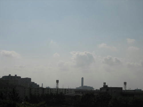 FI2623022_1E.JPG