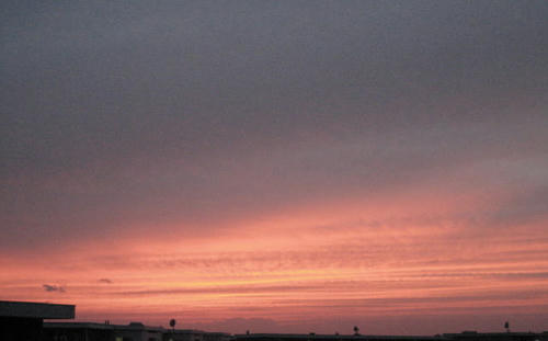FI2623021_1E.JPG