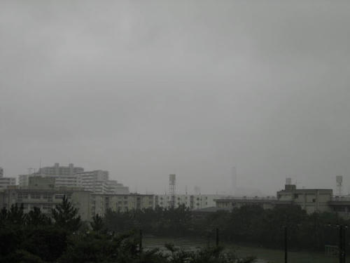 FI2623001_1E.JPG