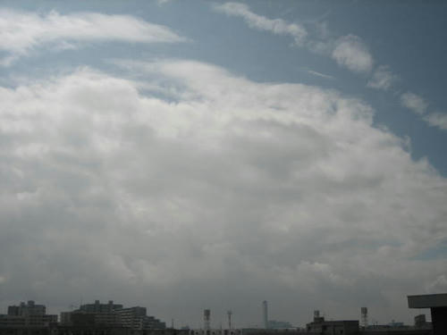FI2622984_1E.JPG