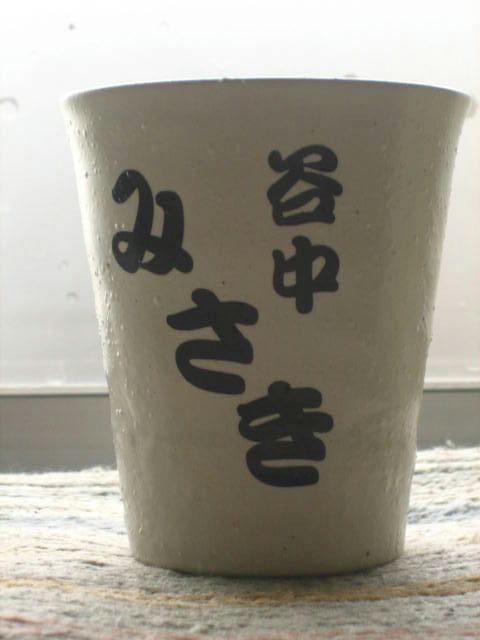 FI2622908_1E.JPG