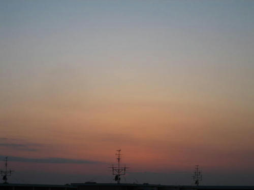 FI2622892_1E.JPG