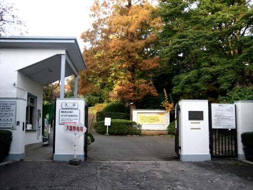 小石川植物園