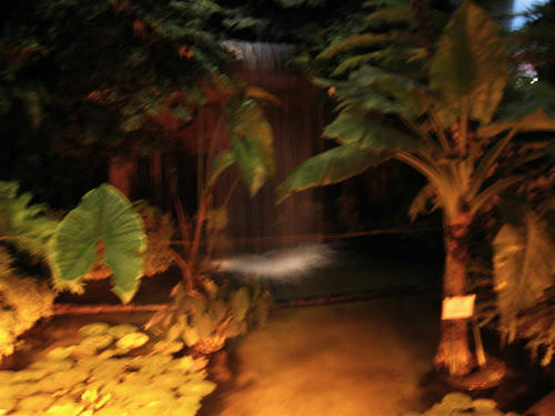 FI2622735_2E.JPG