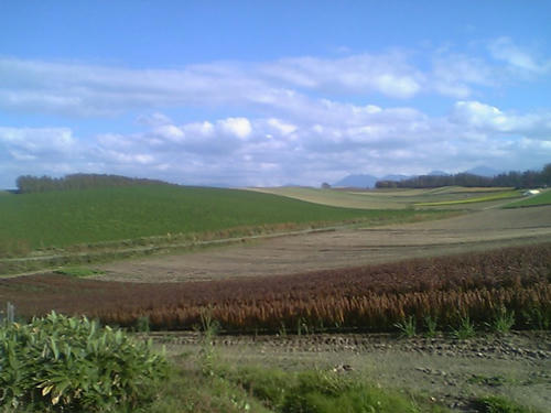 FI1974310_0E.jpg