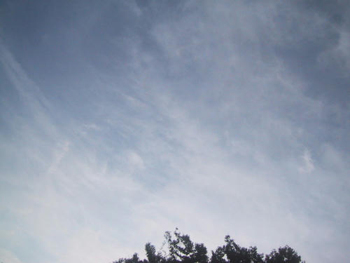 FI1807929_2E.jpg