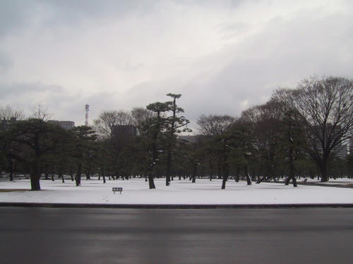 FI1089890_0E.jpg