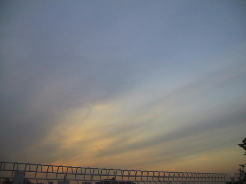 FI1072807_0E.jpg