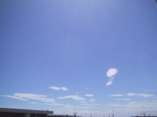 FI283750_0E.jpg