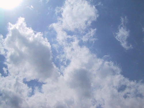 FI217874_1E.jpg
