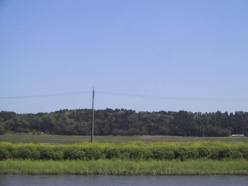 FI178103_0E.jpg
