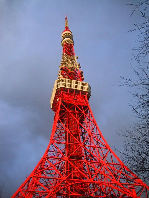 FI101132_0E.jpg