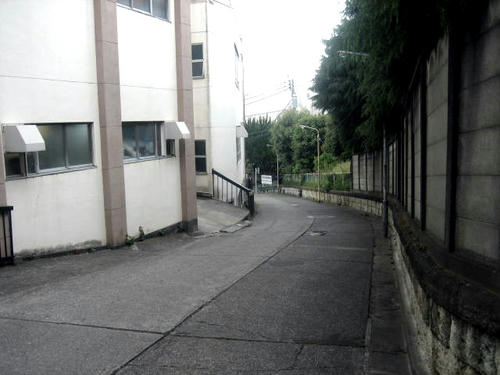 道灌山