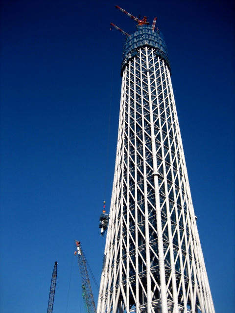 IMG_8095.JPG