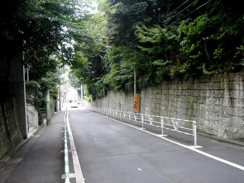 南平坂