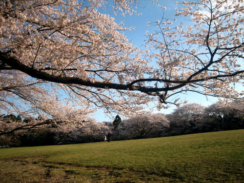 泉自然公園