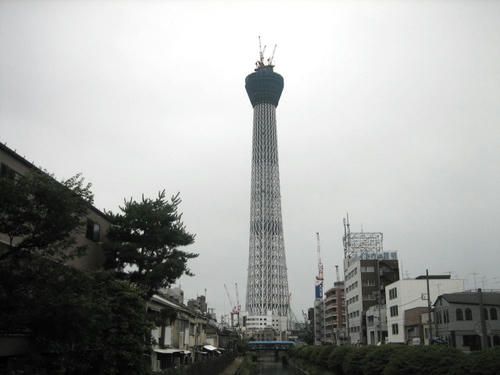 IMG_9515.JPG