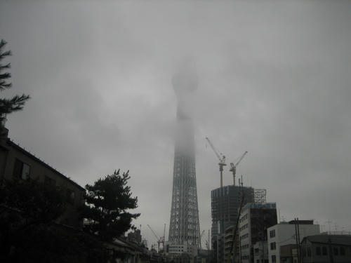IMG_0246.JPG