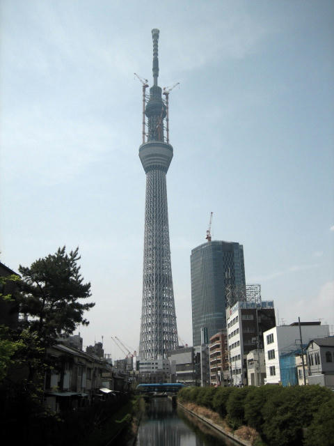 IMG_1677.JPG
