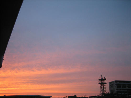 IMG_1971.JPG
