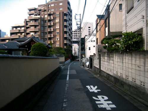 IMG_8954.JPG