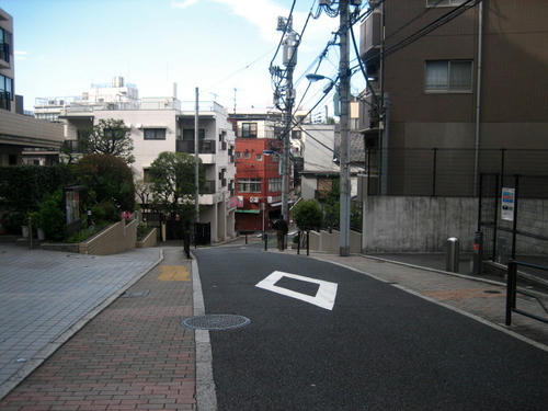IMG_8895.JPG