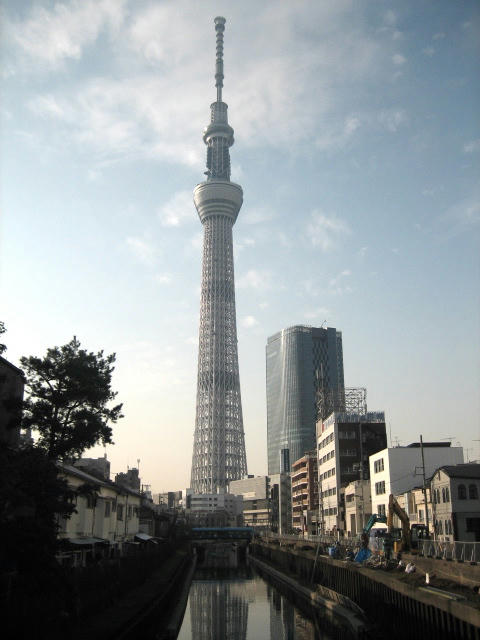 IMG_3537.JPG