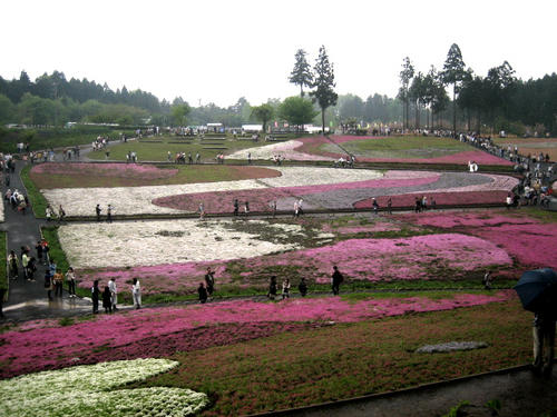 羊山公園