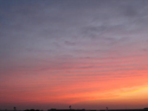 IMG_5207.JPG