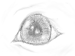 siran.gif