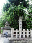 seimei.jpg