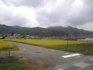 田舎へようこそ！
