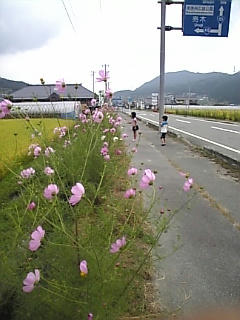 季節はもう秋だねぇ