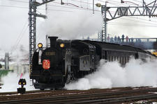 IMGP3662-1.jpg