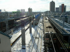 RIMG7169.JPG